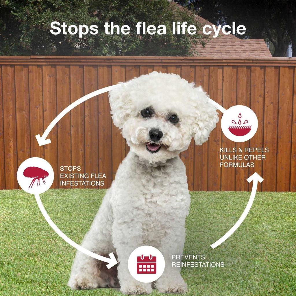 Flea Tick & Mosquito Prevention for Small Dogs 4-10 lbs Y808886