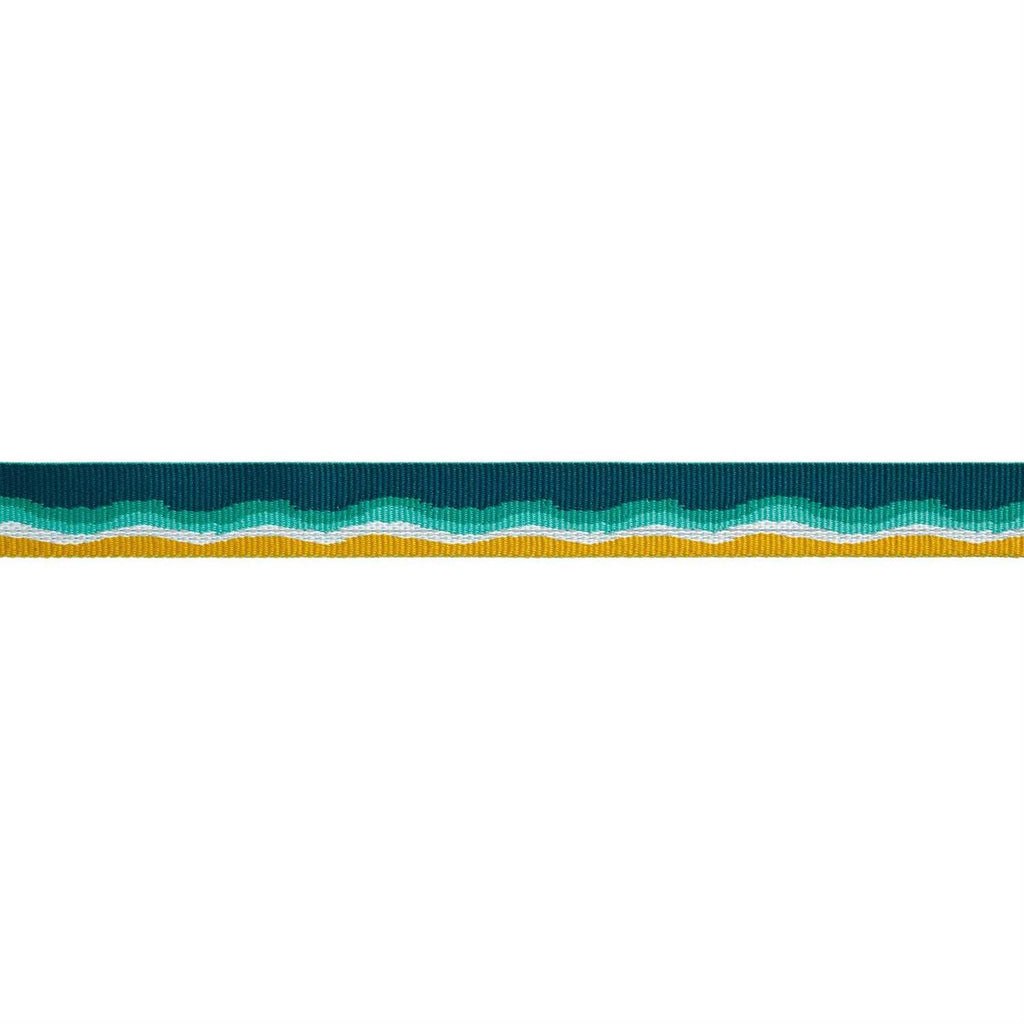 Dog Collar A72340
