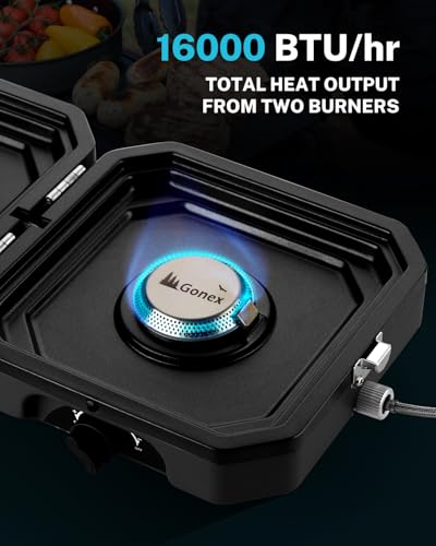 2 Burner Propane Camping Stove with Griddle & Grates D882521