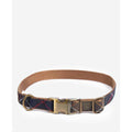 Tartan Webbing Collar C7113
