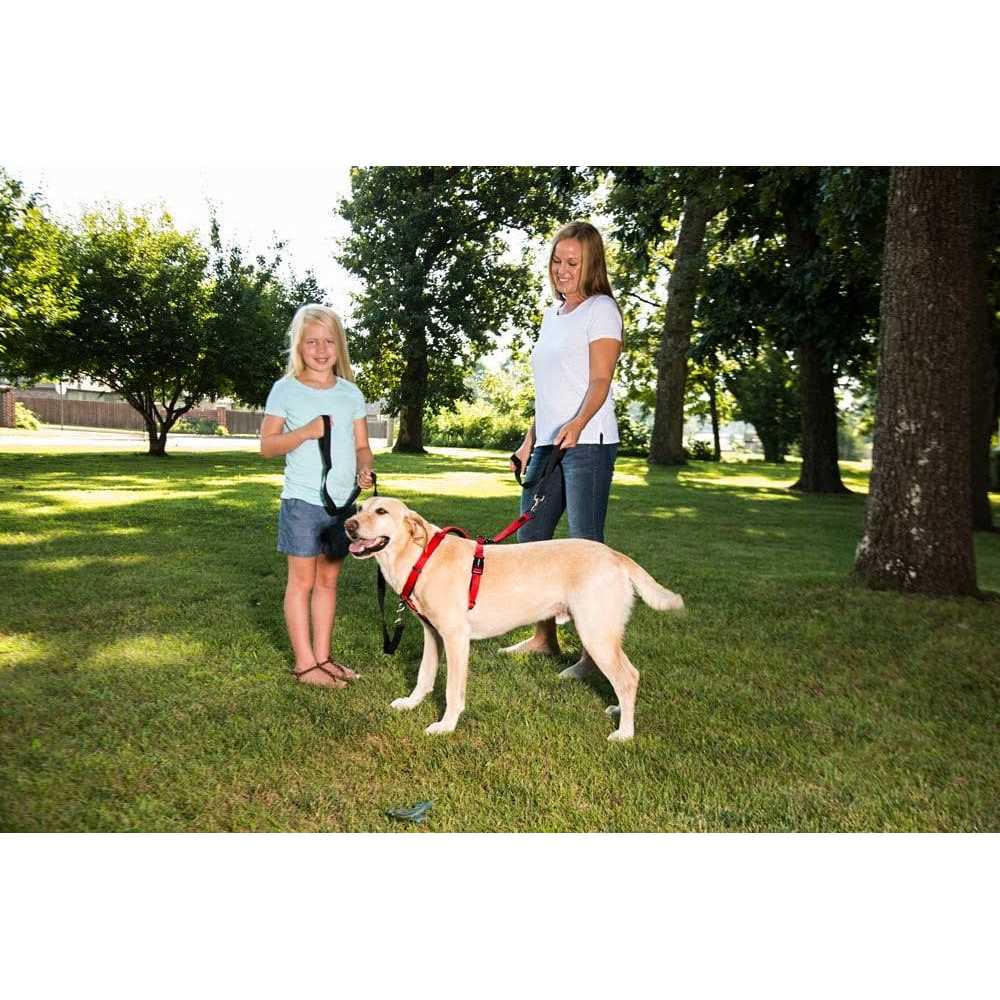 Ultimate Control Harness C208