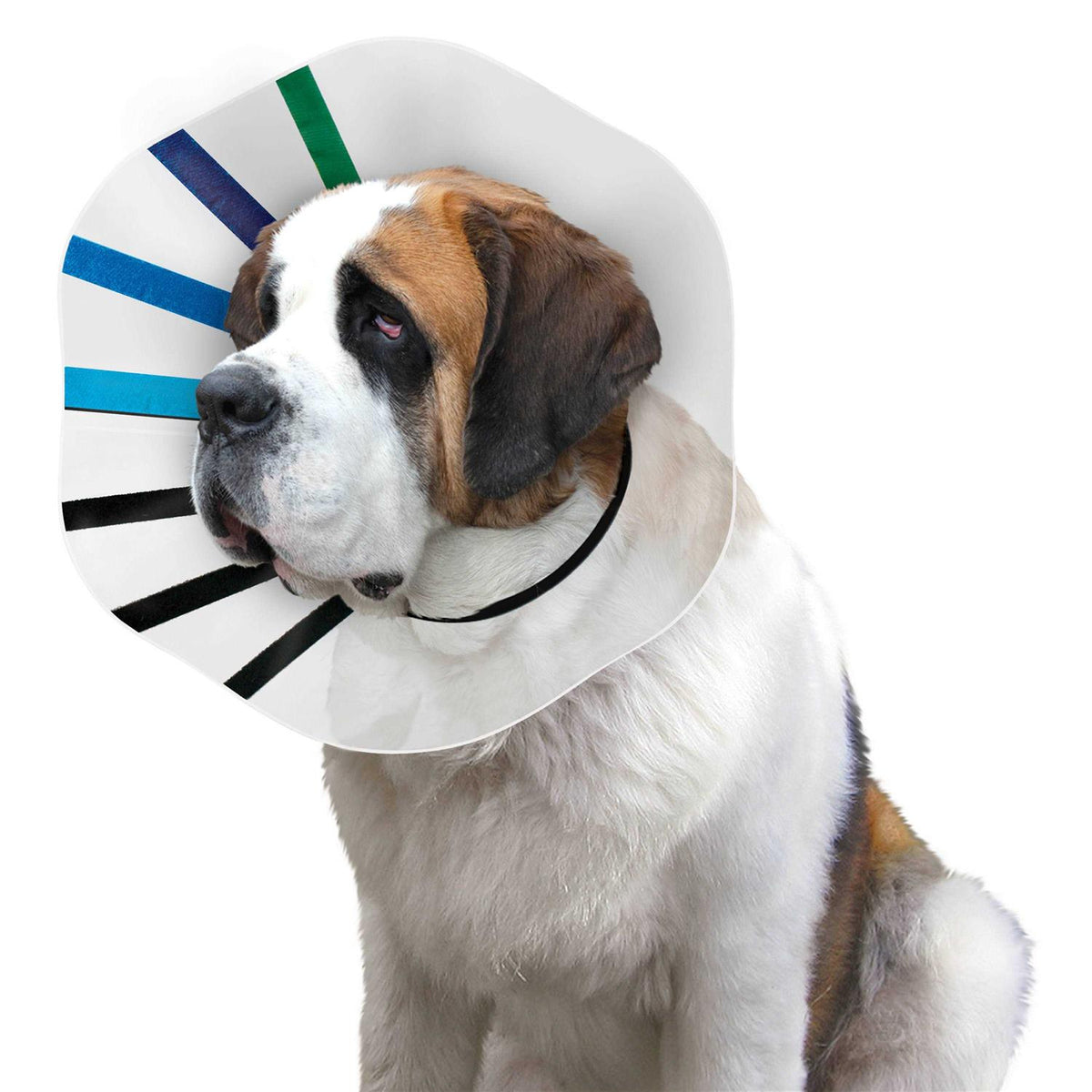 Clear Collar R9835