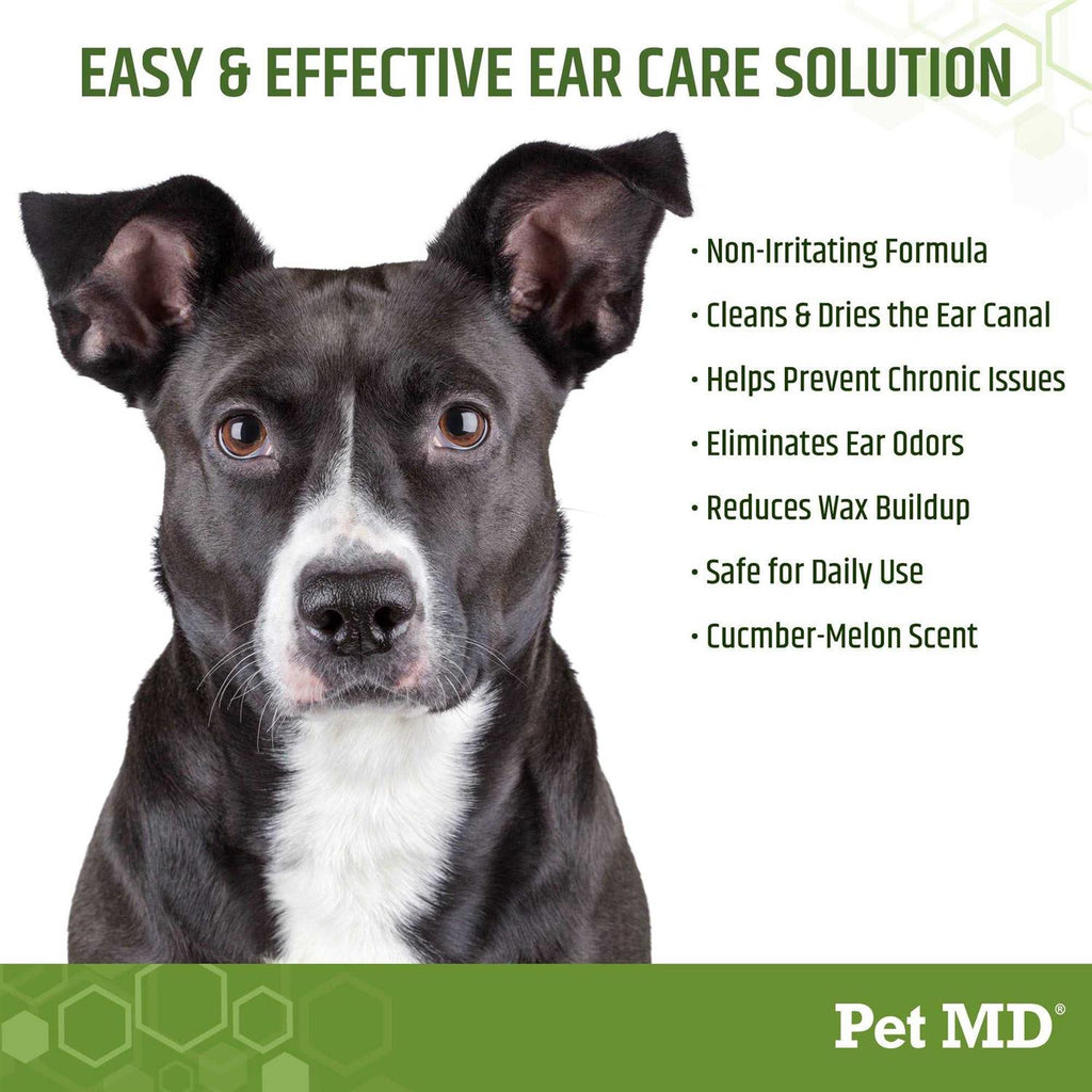 Aloe & Eucalyptus Dog Ear Wipes B3602