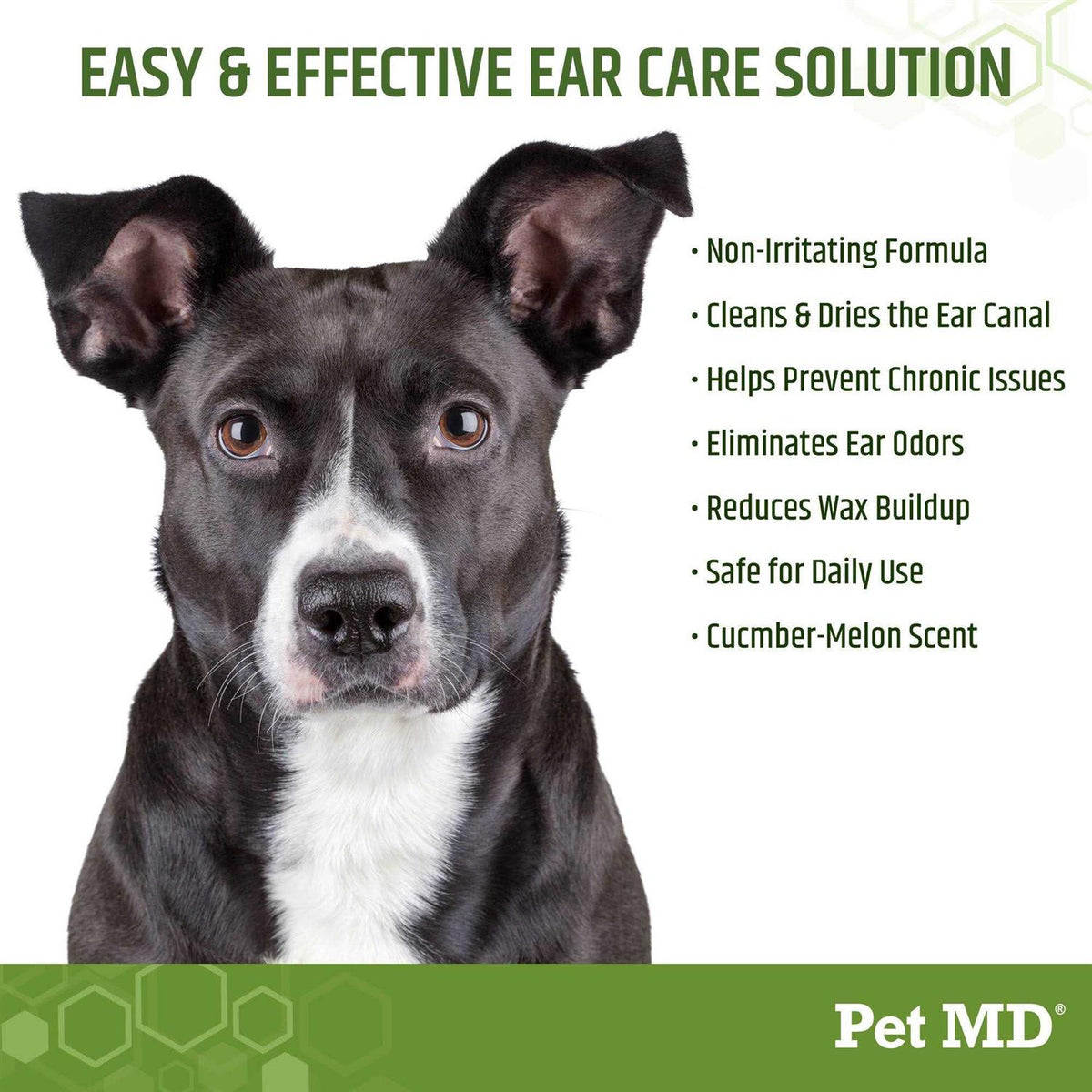 Aloe & Eucalyptus Dog Ear Wipes B3602