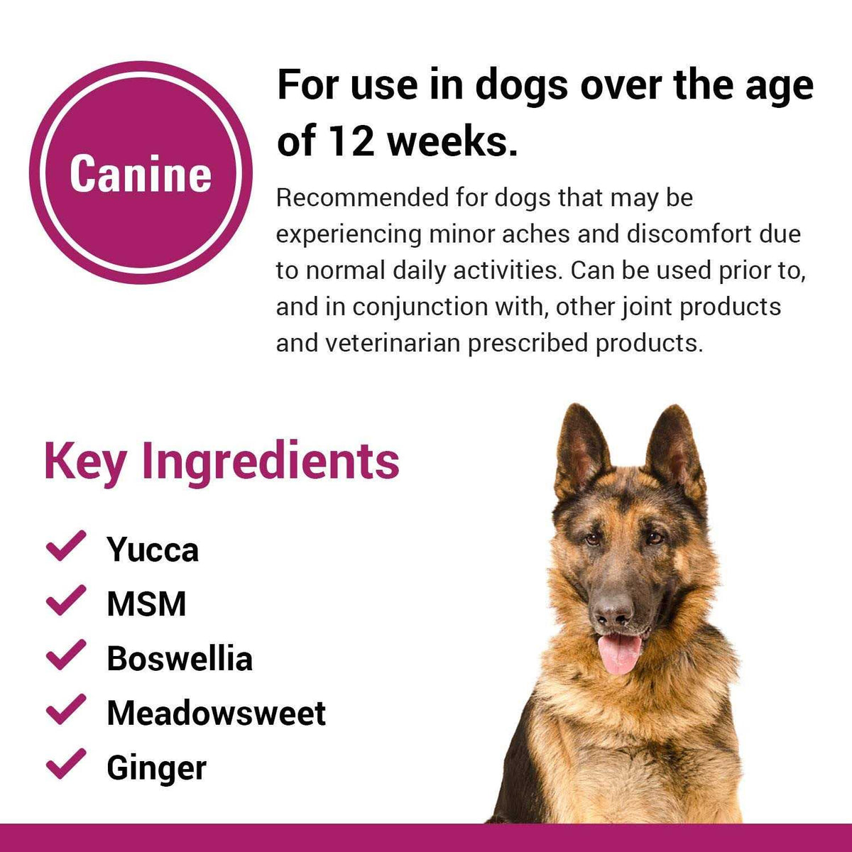 Pain Plus for Dogs D947324