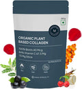 Organic Collagen Powder 250gm Y36399