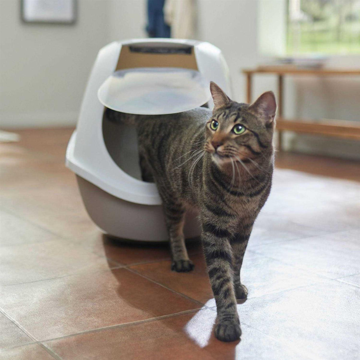 Hooded Cat Litter Box M5465
