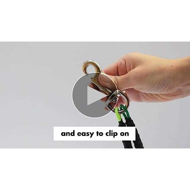 Dog Grooming Loop Restraint D92014