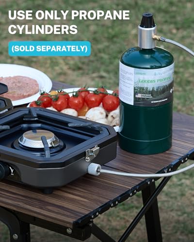 2 Burner Propane Camping Stove with Griddle & Grates D882521