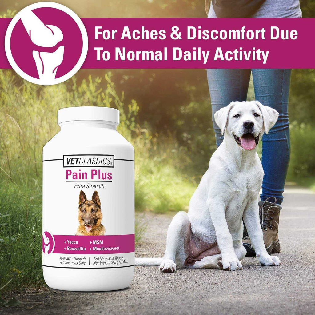 Pain Plus for Dogs D947324