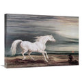Marengo Barb Charger Art Print J9447