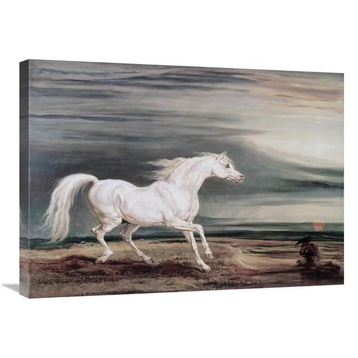 Marengo Barb Charger Art Print J9447