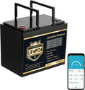 12V 100Ah LiFePO4 Lithium Battery with 100A BMS W3602