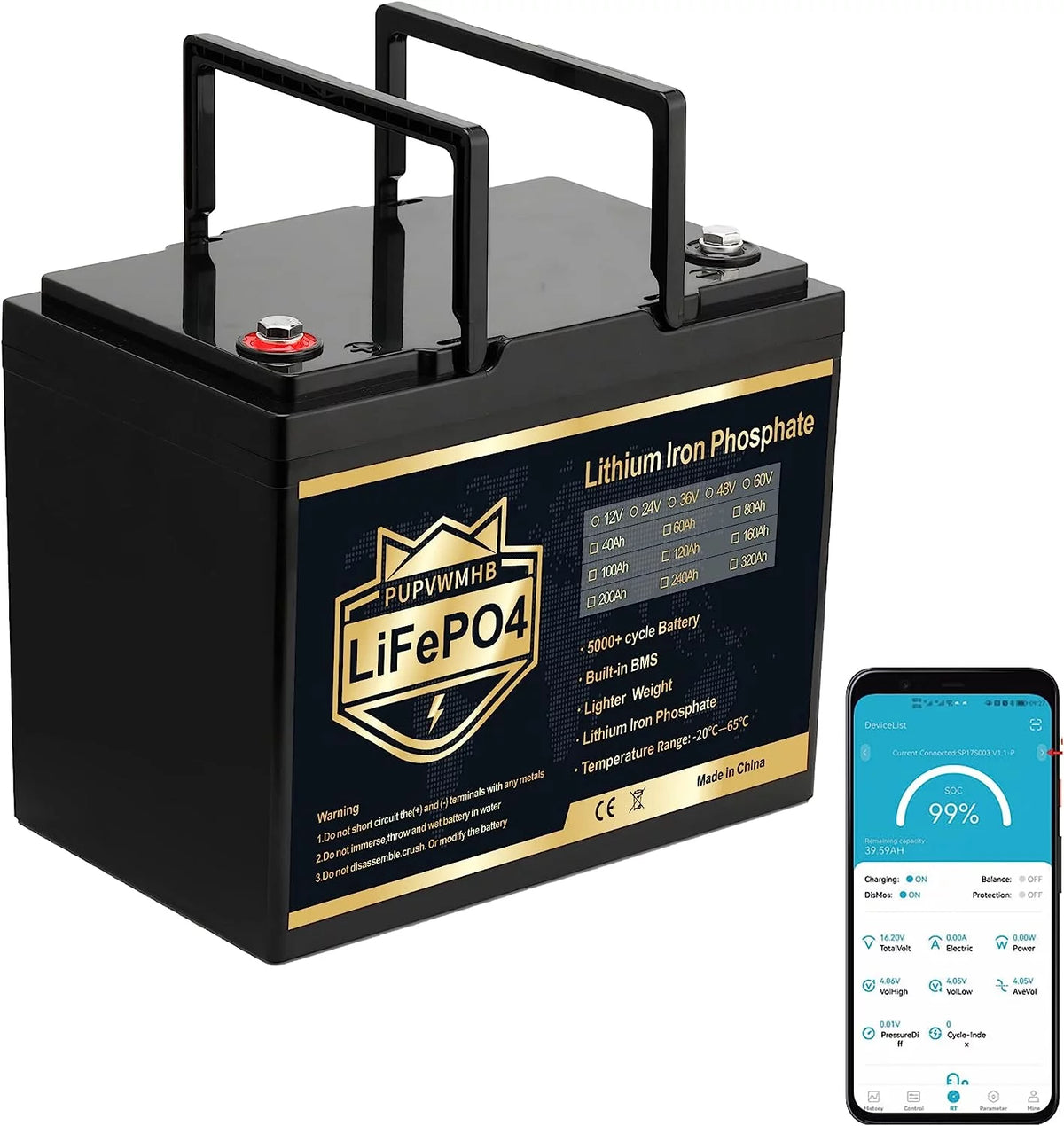 12V 100Ah LiFePO4 Lithium Battery with 100A BMS W3602