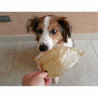 Buffalo Ears for Dogs O398