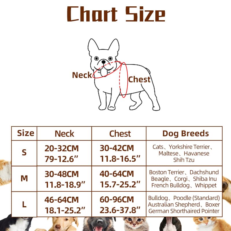 Halloween Spider Costume for Dog Cat, Black, 8 Legs, Medium N529481