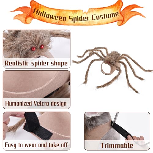 Halloween Spider Costume for Dog Cat, Black, 8 Legs, Medium N529481
