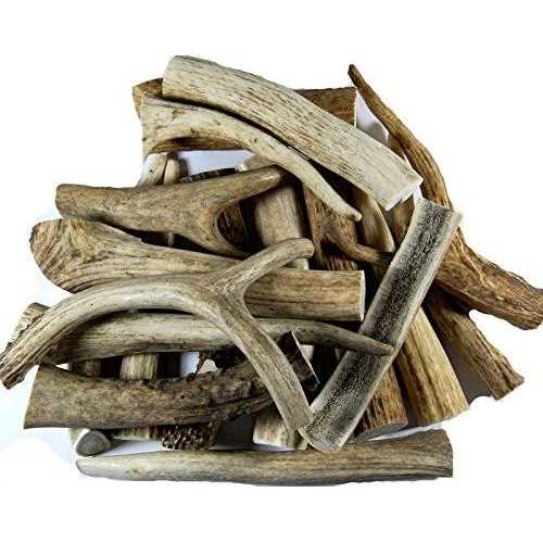 Deer Antler Dog Chews S7918