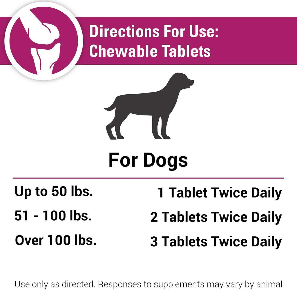 Pain Plus for Dogs D947324