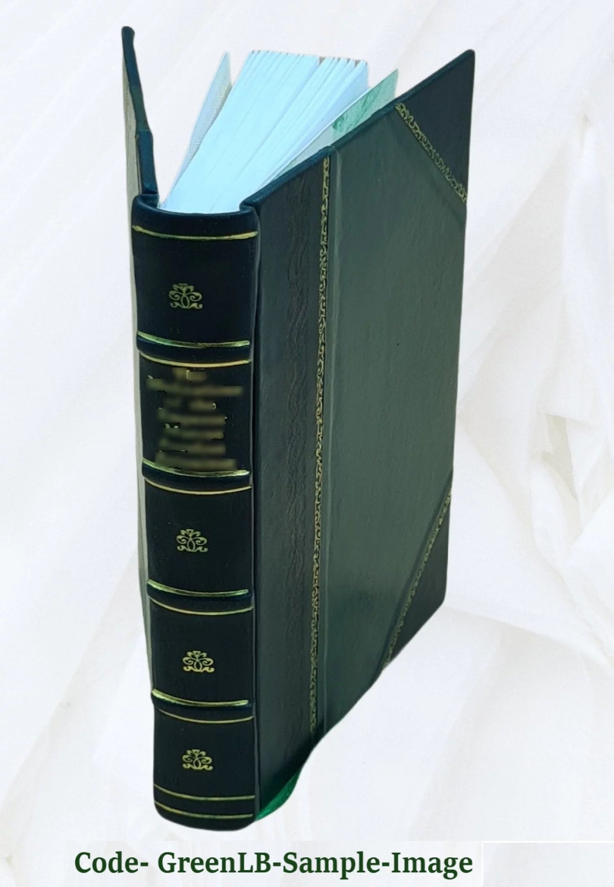 Leather Bound Book V639885